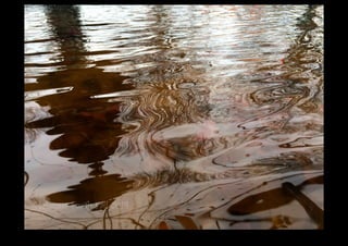 IMG_0138.jpg 
Makenna Smith Fall 2014 
 