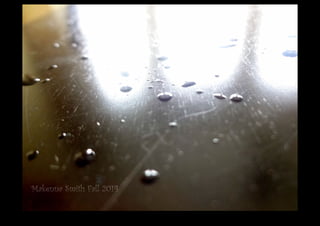 DSC02980.JPG 
Makenna Smith Fall 2014 
 