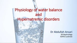 Physiology of water balance
and
Hypernatremic disorders
Dr Abdullah Ansari
SR Nephrology
SGPGI Lucknow
 