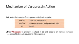 Physiology of water balance and Hypernatremia | PPTX
