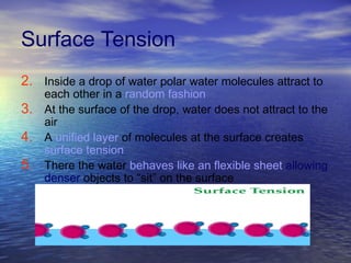 Surface Tension  Inside a drop of water polar water molecules attract to each other in a  random fashion At the surface of the drop, water does not attract to the air A  unified layer  of molecules at the surface creates  surface tension   There the water  behaves like an flexible sheet  allowing denser objects to “sit” on the surface 