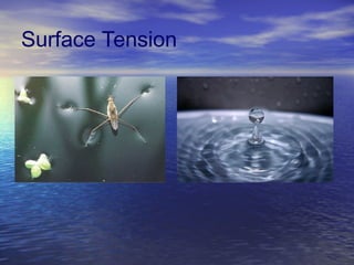 Surface Tension 