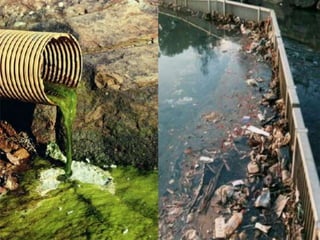 Water Pollution PPTX water-pollution-pptx