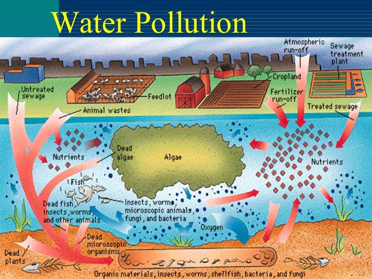 Water Pollution Diagram Type Of Pollution (N = 2,370) | Download