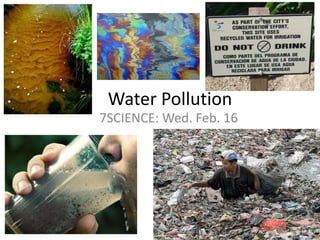 Water Pollution 7SCIENCE: Wed. Feb. 16 