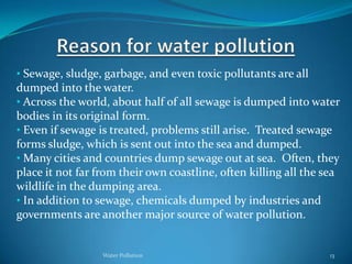 Trash from human consumption, such as water bottles, plastics and other waste products, is most often evident on water surfaces.