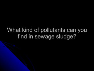 What kind of pollutants can you find in sewage sludge? 