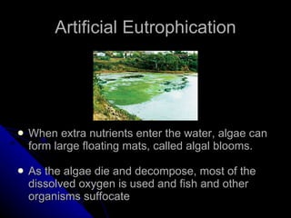 Artificial Eutrophication When extra nutrients enter the water, algae can form large floating mats, called algal blooms. As the algae die and decompose, most of the dissolved oxygen is used and fish and other organisms suffocate 