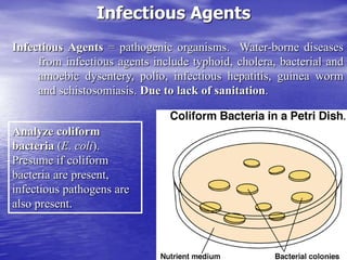 3
Infectious Agents
Infectious Agents = pathogenic organisms. Water-borne diseases
from infectious agents include typhoid, cholera, bacterial and
amoebic dysentery, polio, infectious hepatitis, guinea worm
and schistosomiasis. Due to lack of sanitation.
Analyze coliform
bacteria (E. coli).
Presume if coliform
bacteria are present,
infectious pathogens are
also present.
 