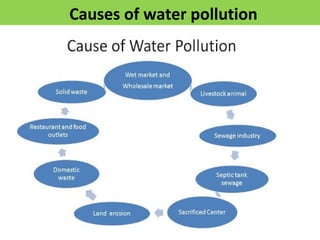 Causes of water pollution
 