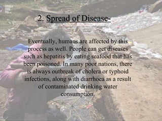 2. Spread of Disease-
Eventually, humans are affected by this
process as well. People can get diseases
such as hepatitis by eating seafood that has
been poisoned. In many poor nations, there
is always outbreak of cholera or typhoid
infections, along with diarrhoea as a result
of contaminated drinking water
consumption.
 