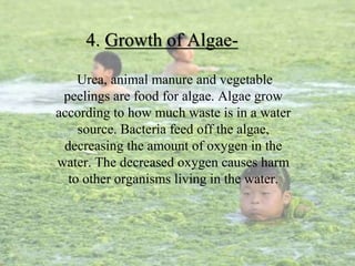 4. Growth of Algae-
Urea, animal manure and vegetable
peelings are food for algae. Algae grow
according to how much waste is in a water
source. Bacteria feed off the algae,
decreasing the amount of oxygen in the
water. The decreased oxygen causes harm
to other organisms living in the water.
 
