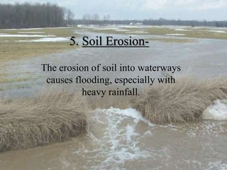 5. Soil Erosion-
The erosion of soil into waterways
causes flooding, especially with
heavy rainfall.
 
