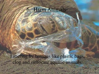 6. Harm Animals-
Littering by humans like plastic bags,
clog and suffocate aquatic animals.
 