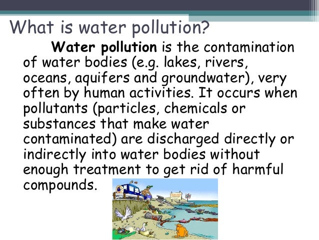 essay water pollution