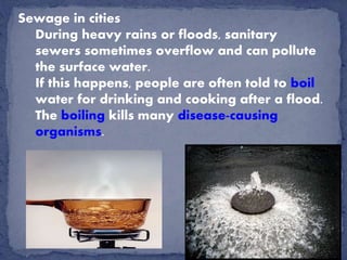 Sewage in cities
During heavy rains or floods, sanitary
sewers sometimes overflow and can pollute
the surface water.
If this happens, people are often told to boil
water for drinking and cooking after a flood.
The boiling kills many disease-causing
organisms.
 