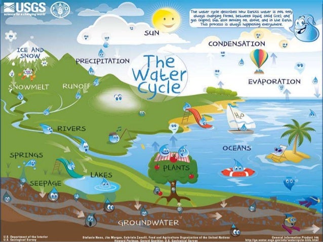 Water pollution water cycle diagram with accumulation 