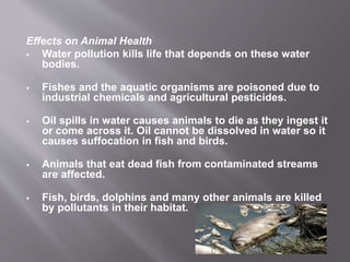 Effects on Animal Health
 Water pollution kills life that depends on these water
bodies.
 Fishes and the aquatic organisms are poisoned due to
industrial chemicals and agricultural pesticides.
 Oil spills in water causes animals to die as they ingest it
or come across it. Oil cannot be dissolved in water so it
causes suffocation in fish and birds.
 Animals that eat dead fish from contaminated streams
are affected.
 Fish, birds, dolphins and many other animals are killed
by pollutants in their habitat.
 