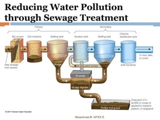 Reducing Water Pollution
through Sewage Treatment
Jhansirani.R AP/ECE
 
