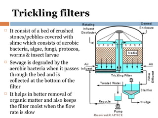 Trickling filters
 It consist of a bed of crushed
stones/pebbles covered with
slime which consists of aerobic
bacteria, algae, fungi, protozoa,
worms & insect larvae
 Sewage is degraded by the
aerobic bacteria when it passes
through the bed and is
collected at the bottom of the
filter
 It helps in better removal of
organic matter and also keeps
the filter moist when the flow
rate is slow Jhansirani.R AP/ECE
 