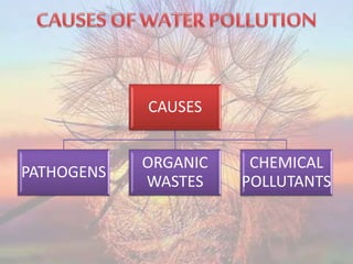 CAUSES
PATHOGENS
ORGANIC
WASTES
CHEMICAL
POLLUTANTS
 