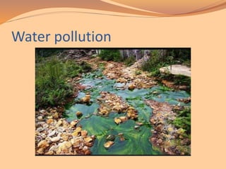 Water pollution
 