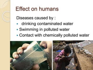 Effect on humans
Diseases caused by :
 drinking contaminated water
 Swimming in polluted water
 Contact with chemically polluted water
 