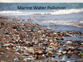 Marine Water Pollution
 