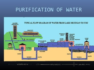 PURIFICATION OF WATER
 