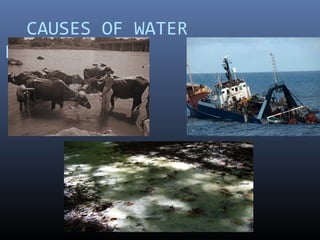 CAUSES OF WATER
POLLUTION
 