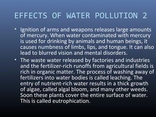 EFFECTS OF WATER POLLUTION 2
• Ignition of arms and weapons releases large amounts
of mercury. When water contaminated with mercury
is used for drinking by animals and human beings, it
causes numbness of limbs, lips, and tongue. It can also
lead to blurred vision and mental disorders.
• The waste water released by factories and industries
and the fertilizer-rich runoffs from agricultural fields is
rich in organic matter. The process of washing away of
fertilizers into water bodies is called leaching. The
entry of nutrient-rich water results in a thick growth
of algae, called algal bloom, and many other weeds.
Soon these plants cover the entire surface of water.
This is called eutrophication.
 