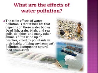  The main effects of water
pollution is that it kills life that
depends on these water bodies.
Dead fish, crabs, birds, and sea
gulls, dolphins, and many other
animals often wind up on
beaches, killed by pollutants in
their habitat (living environment).
Pollution disrupts the natural
food chain as well.
 