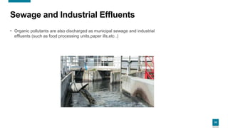 24
Sewage and Industrial Effluents
• Organic pollutants are also discharged as municipal sewage and industrial
effluents (such as food processing units,paper ills,etc .)
 