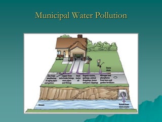 Municipal Water Pollution
 