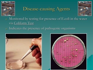 Disease-causing Agents
o Monitored by testing for presence of E.coli in the water
via Coliform Test
o Indicates the presence of pathogenic organisms
 