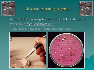 Water pollution | PPT