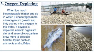 Water pollution