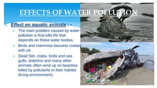 Water pollution