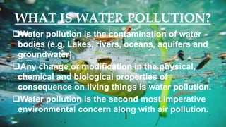 Water pollution