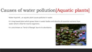Causes of water pollution[Aquatic plants]
•Water hyacinth , an aquatic plant causes pollution in water.
•It is long leaved plant which grows faster in water bodies and absorbs all essential nutrients from
water which is fetal for marine organisms.
•It is also known as ‘Terror of Bengal’ due to its abundance.
 