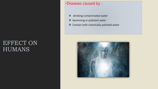 EFFECT ON
HUMANS
Diseases caused by :
 drinking contaminated water
 Swimming in polluted water
 Contact with chemically polluted water
 
