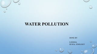 WATER POLLUTION
DONE BY
S.SNEHA
III B.Sc. ZOOLOGY
 