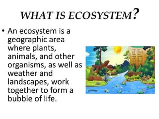 WHAT IS ECOSYSTEM?
• An ecosystem is a
geographic area
where plants,
animals, and other
organisms, as well as
weather and
landscapes, work
together to form a
bubble of life.
 