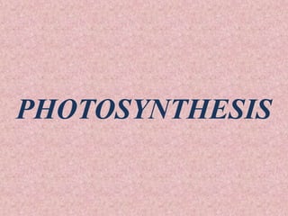PHOTOSYNTHESIS
 