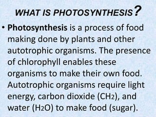 WHAT IS PHOTOSYNTHESIS?
• Photosynthesis is a process of food
making done by plants and other
autotrophic organisms. The presence
of chlorophyll enables these
organisms to make their own food.
Autotrophic organisms require light
energy, carbon dioxide (CH2), and
water (H2O) to make food (sugar).
 