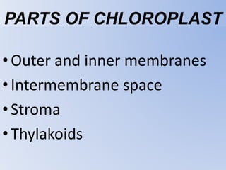 PARTS OF CHLOROPLAST
•Outer and inner membranes
•Intermembrane space
•Stroma
•Thylakoids
 