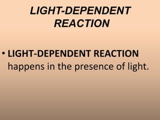 LIGHT-DEPENDENT
REACTION
• LIGHT-DEPENDENT REACTION
happens in the presence of light.
 