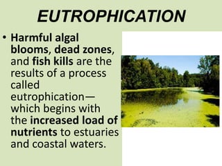 EUTROPHICATION
• Harmful algal
blooms, dead zones,
and fish kills are the
results of a process
called
eutrophication—
which begins with
the increased load of
nutrients to estuaries
and coastal waters.
 