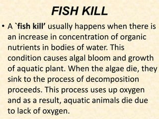 FISH KILL
• A `fish kill’ usually happens when there is
an increase in concentration of organic
nutrients in bodies of water. This
condition causes algal bloom and growth
of aquatic plant. When the algae die, they
sink to the process of decomposition
proceeds. This process uses up oxygen
and as a result, aquatic animals die due
to lack of oxygen.
 