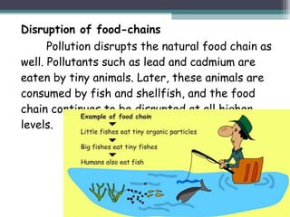 Disruption of food-chains
Pollution disrupts the natural food chain as
well. Pollutants such as lead and cadmium are
eaten by tiny animals. Later, these animals are
consumed by fish and shellfish, and the food
chain continues to be disrupted at all higher
levels.
 